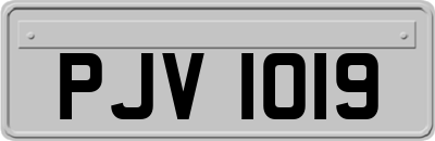 PJV1019