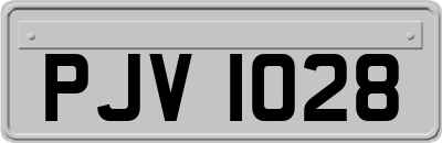 PJV1028