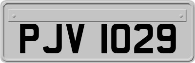 PJV1029