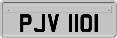 PJV1101