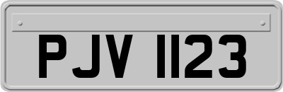 PJV1123