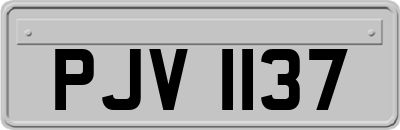 PJV1137