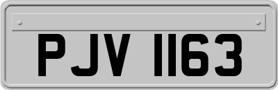 PJV1163