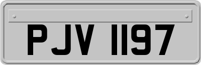 PJV1197