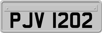 PJV1202