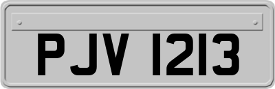 PJV1213