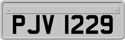 PJV1229