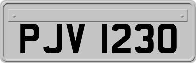 PJV1230