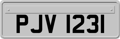 PJV1231