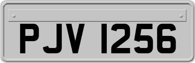 PJV1256