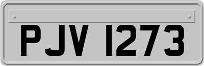 PJV1273