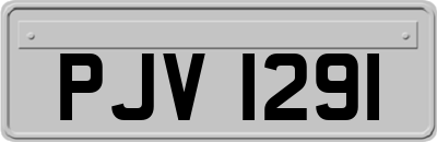 PJV1291