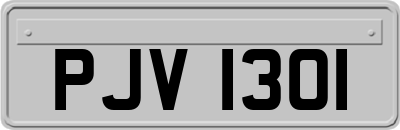 PJV1301