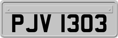 PJV1303
