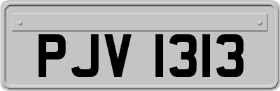 PJV1313