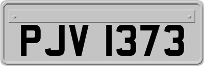 PJV1373