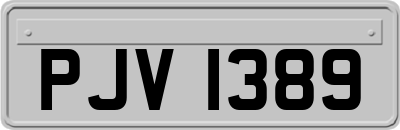 PJV1389