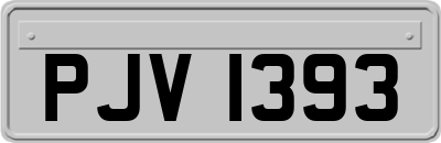 PJV1393
