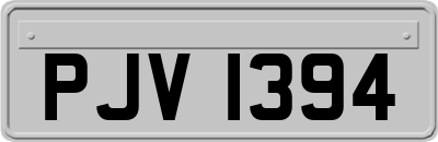PJV1394