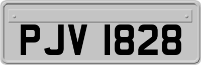 PJV1828