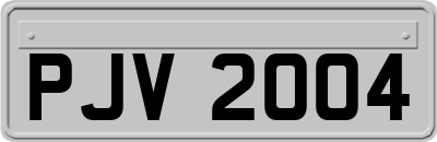 PJV2004