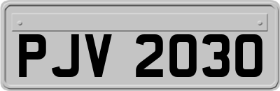 PJV2030