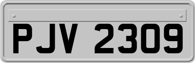 PJV2309