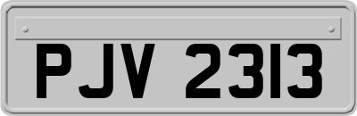 PJV2313