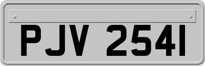 PJV2541