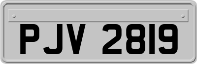 PJV2819