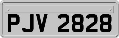 PJV2828