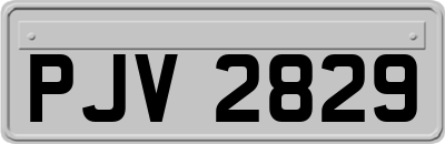 PJV2829
