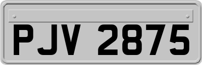 PJV2875