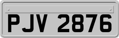 PJV2876