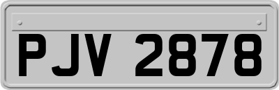 PJV2878