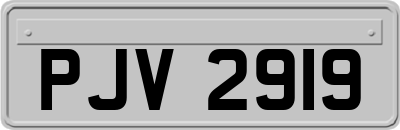 PJV2919