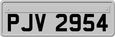 PJV2954