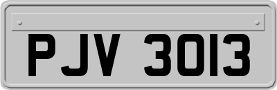 PJV3013
