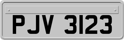 PJV3123