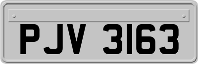 PJV3163