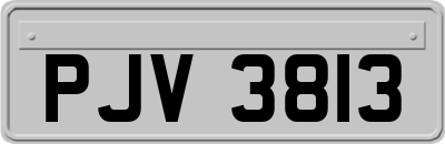 PJV3813
