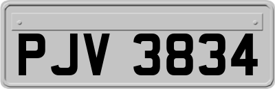 PJV3834