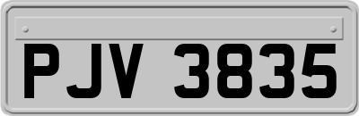 PJV3835