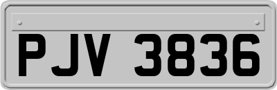 PJV3836