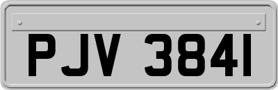 PJV3841
