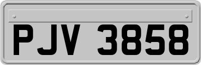 PJV3858