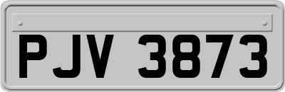 PJV3873