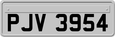 PJV3954