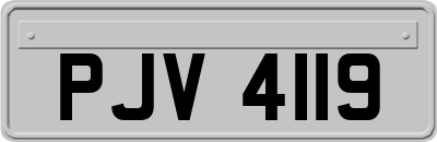 PJV4119