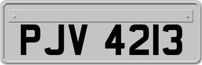PJV4213